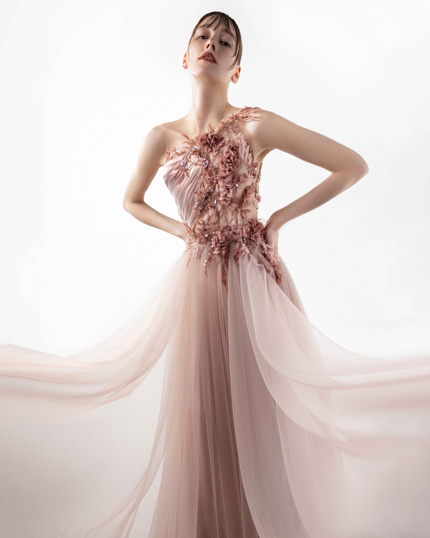 Blush Sheer Tulle Skirt Illusion Gown with Cascading Floral Embroidery