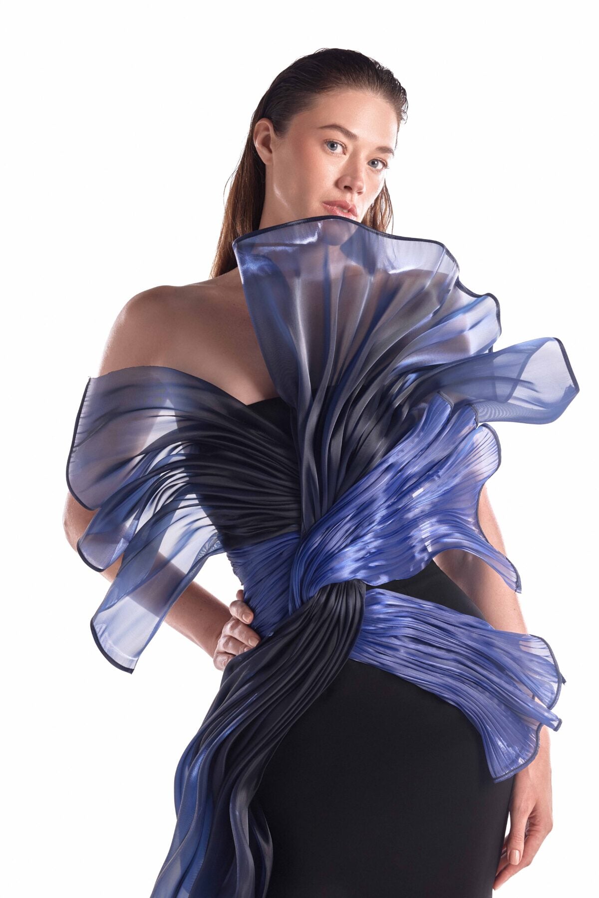 Twisted Dual Tone Fluid Organza Black Gown