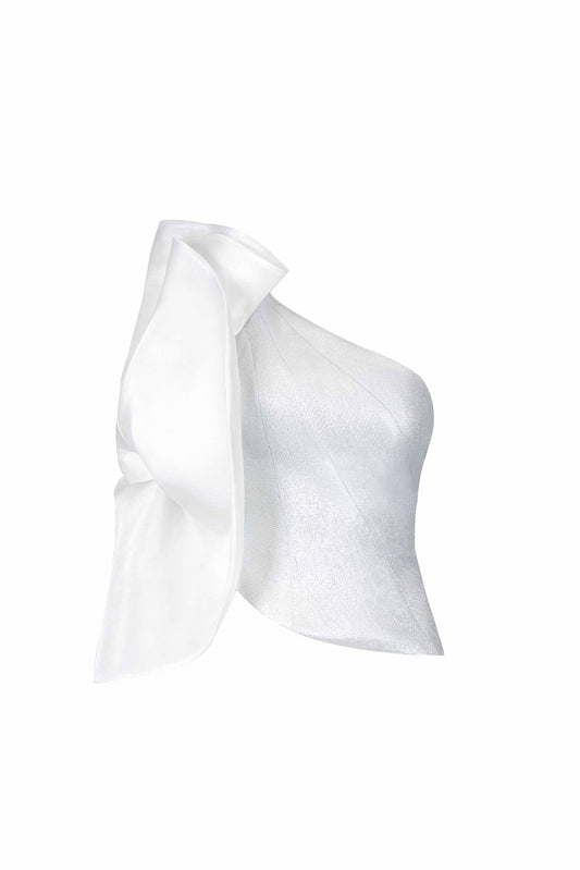 One-Shoulder Metallic Lycra Top with Organza Sleeve