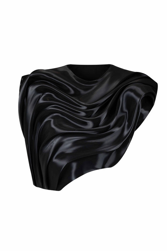 Fluid Metallic Organza Wide Shoulders Cropped Top