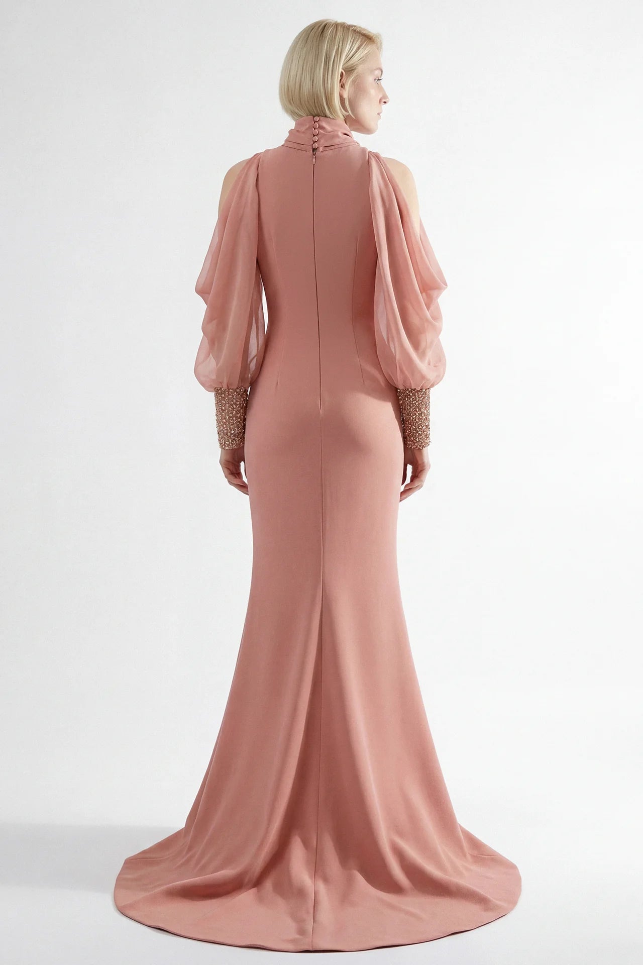 Draped Sleeve Embellished Bodice Gown