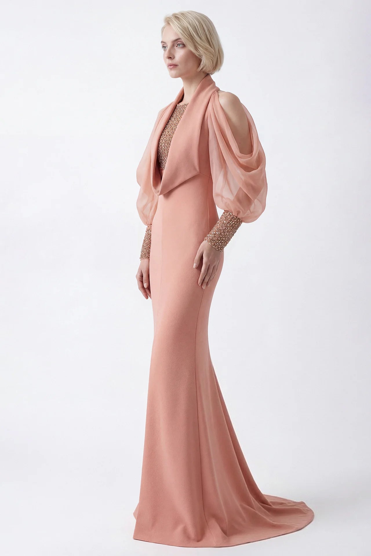 Draped Sleeve Embellished Bodice Gown